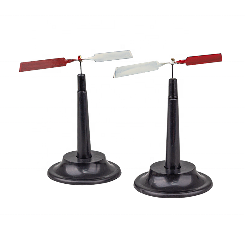 Pair of Magnetic Needles