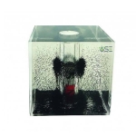Cube Magnetic Field