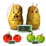 Fruit Battery Clock