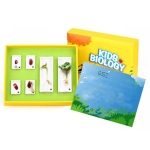 Growth process of kidney bean specimen