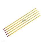 Laboratory Alcohol Thermometer