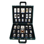 Insects Set Specimen