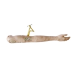 IV Training Arm Model